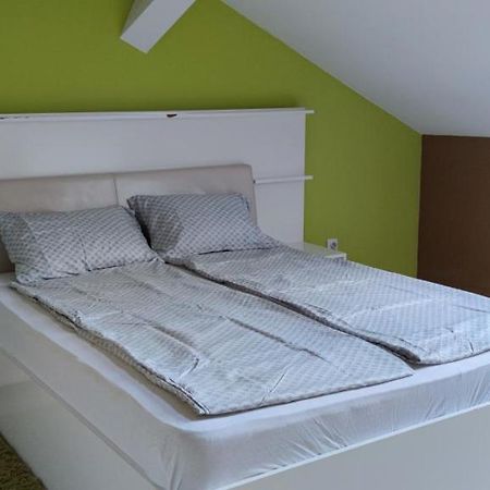 Hysteria Central Flat Oradea Exterior photo
